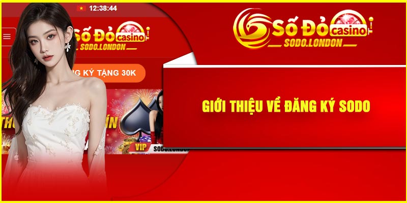 Giới Thiệu về Đăng Ký Sodo