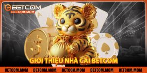 Betcom – Kênh Cá Cược Thể Thao Uy Tín Số 1 Việt Nam