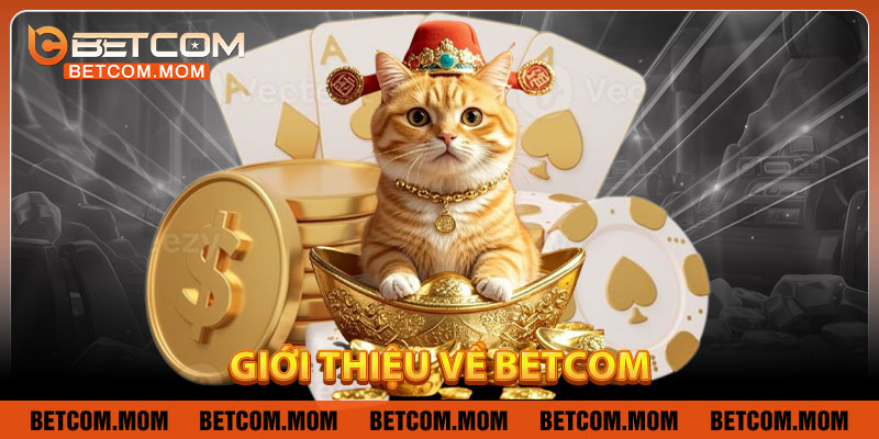 Giới thiệu về Betcom